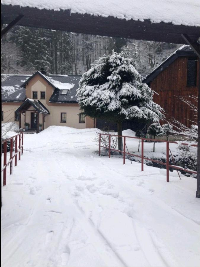 Apartman Na Horach, Plesivec Pstruzi  Exterior photo